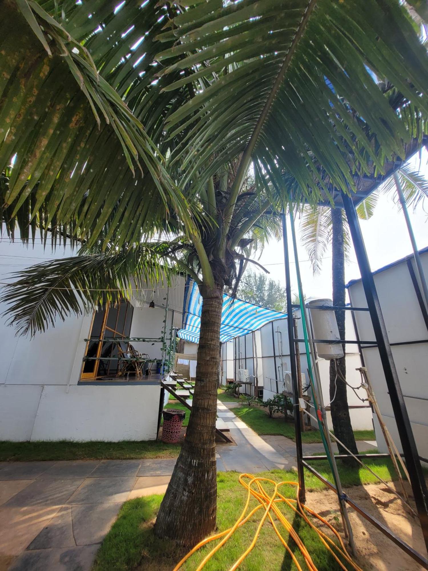 Kashinath Beach Huts Agonda Eksteriør billede
